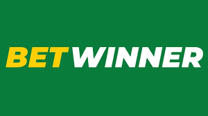 Everything You Need to Know About the BetWinner Gambling Platform