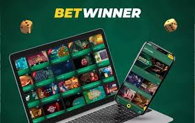 BetWinner Online Gambling Platform A Comprehensive Review