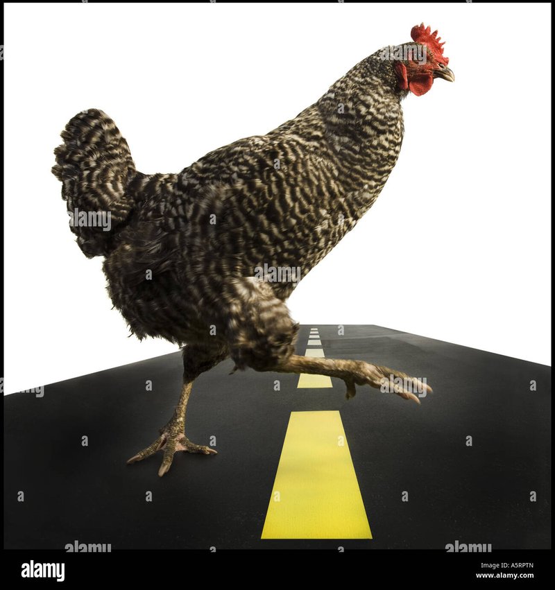 Spain - jugar chicken road