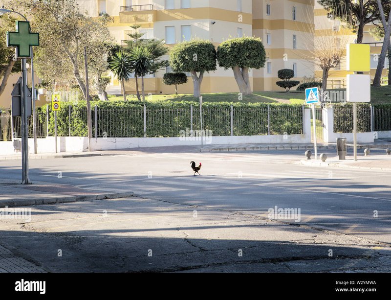 Conoce el Fascinante Juego de Azar de Chicken Road en España - overview