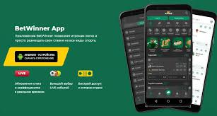 Exploring BetWinner Withdrawal Options A Comprehensive Guide