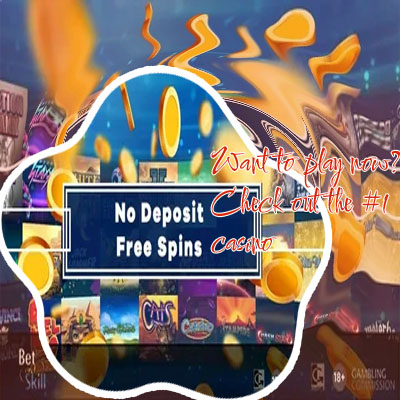 No Deposit Free Spins Unlocking Opportunities in Online Casinos -28251573