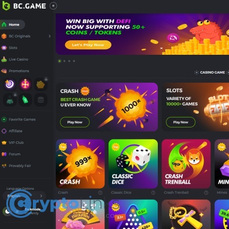 Unveiling the Thrills of BC.Game Casino