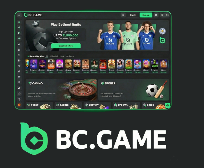 Join the BC.Game Casino Your Ultimate Gaming Experience